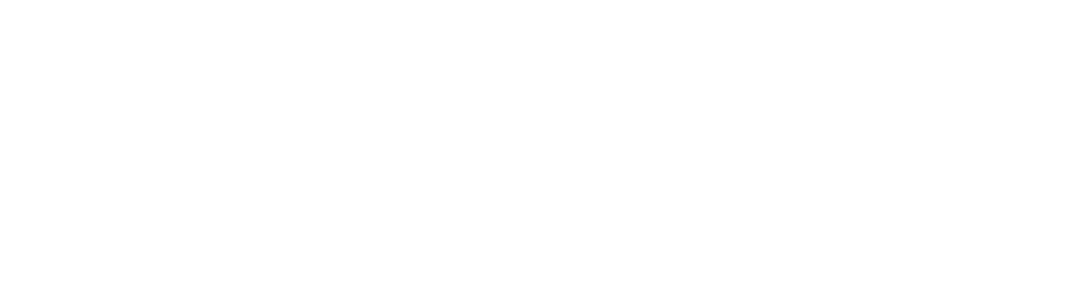 INSERT MOLDING SOLUTIONS